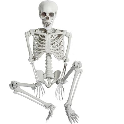 AOFOX 165cm Halloween Skelett Ganzkörper bewegliche Gelenke Party Dekor