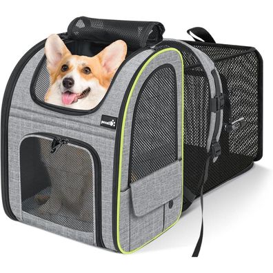 Pecute Hunde Katzen Rucksack XL Grau Erweiterbar Mesh