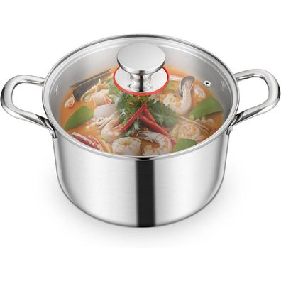 Homikit Suppentopf 22cm 3-Lagen Induktion Glasdeckel 4,7L Edelstahl Kochtöpfe