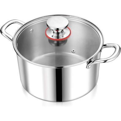 Homikit 24cm Kochtopf 5,3L Induktion Edelstahl Glasdeckel Spülmaschinenfest