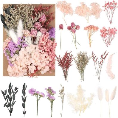 Heyu-Lotus Natürliche getrocknete Blumen DIY gemischt Kerzenharz Schmuck