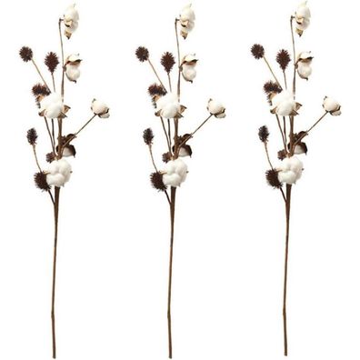 Baumwollstiele Bauernhausdekoration Blumendeko Vasenfüller 3er-Set