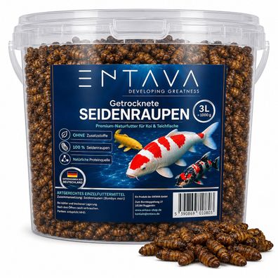 ENTAVA 3l Seidenaupen