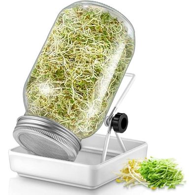 Ecooe Sprossen Keimglas 1er Set Sprouting Jar 750ml Edelstahl Ständer