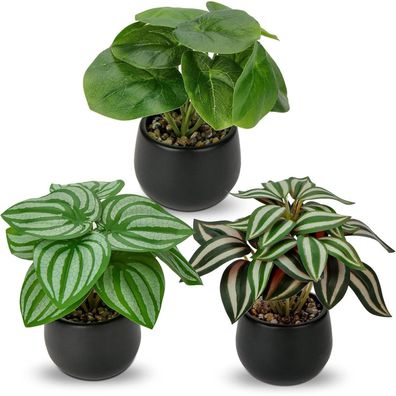 3er Set Kunstpflanzen Künstliche Zimmerpflanzen Deko Wohnzimmer Bad 15cm