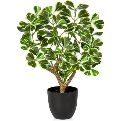 Kunstpflanze Ficus 43CM Schwarzem Topf Deko Fensterbank Bad Wohnzimmer