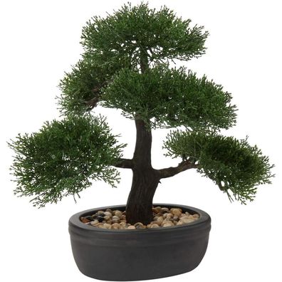 Kunstbonsai Zeder Künstliche Pflanze mit Keramik-Übertopf Schwarz 30 x 36 cm