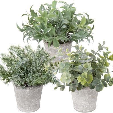 Künstliche Mini Kunstpflanzen Set Eukalyptus Rosmarin Kräuter Zementtopf