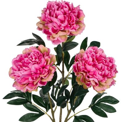 3 Stück 74cm Künstliche Pfingstrosen Stiel Rosen Vintage Bouquet Blumen