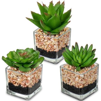 3PCS Künstliche Sukkulenten Kunstpflanze Glas Deko Wohnzimmer Büro Badezimmer