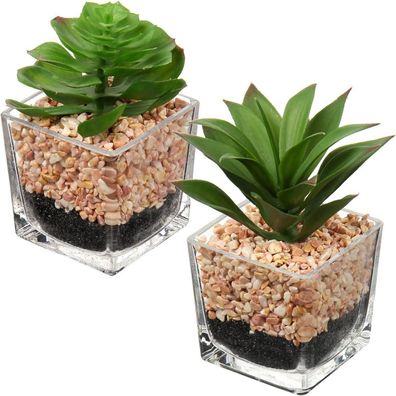 2PCS Künstliche Sukkulenten Kunstpflanze Wie Echt Glastopf Wohnzimmer
