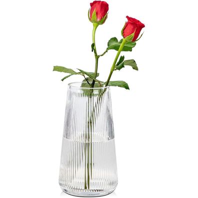 Moderne Glasvase mit Rillen für Hochzeit Büro Dekoration 20cm Transparent