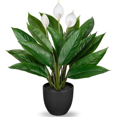 Künstliche Calathea Pflanze 43cm Grün Kunstpflanze Deko im Topf #2