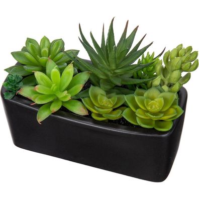 Kunstpflanze Sukkulente Schwarz Keramiktopf Deko Zimmerpflanze 14cm