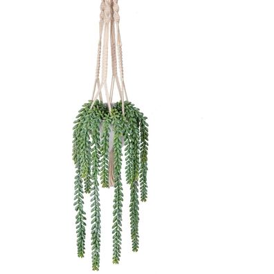 Künstliche Pflanze Hängepflanze Dekopflanzen Zimmer Wand Aesthetic 14 cm