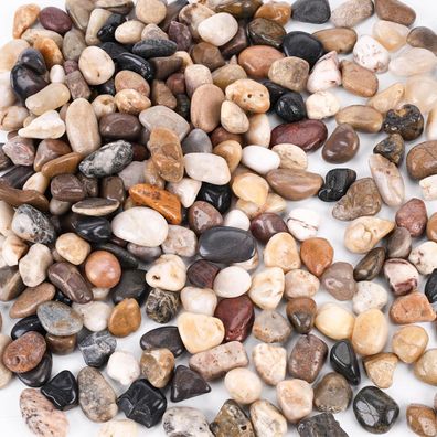 Flusskiesel Edelsteine 900g Deko Polierte Kieselsteine Sukkulenten