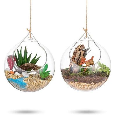 Hängende Glaskugel Vase 2Pcs Große Öffnung Sukkulenten Terrarium DIY 4 Inches