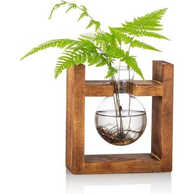 Glühbirne Avocado Vase Glas Pflanzgefäß Holzregal Grünwasserpflanzen Desk Decor