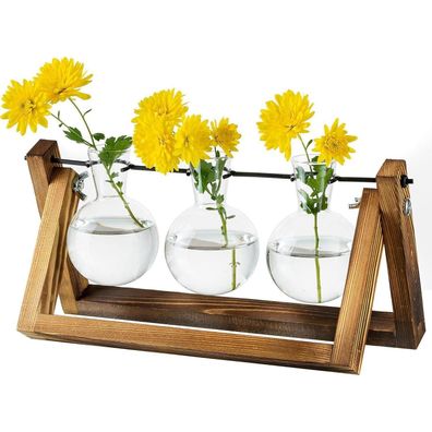 Vermehrungsstation Pflanzen Upgrade Zwiebel Vase Holzständer Glas Blumentopf
