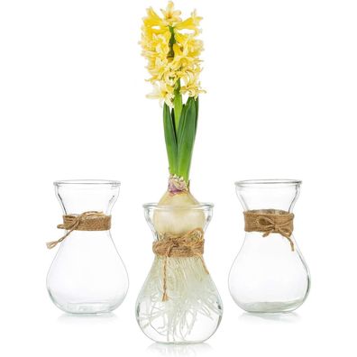 Glasvasen Blumen Schnurseil 3 Stück Set Blumenvasen Hochzeit Küche Garten Deko