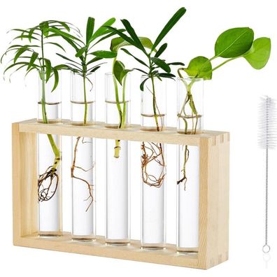 Moderne Tischplatte Glas Pflanzer Hydroponik 5 Reagenzglas Vase Holz Stand
