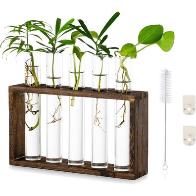 Moderne Kleine Vasen Deko Set Vintage Glas Reagenzgläser Mit Holzständer