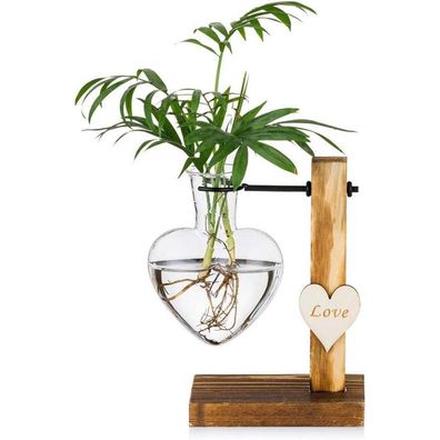 Moderne Hydroponische Glasvase mit Herz, Holzständer, Pflanzenvermehrung