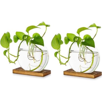 Tischplatte hängen Glas Pflanzer 2 Stk. Moderne Blumen Vase Holz Stehen