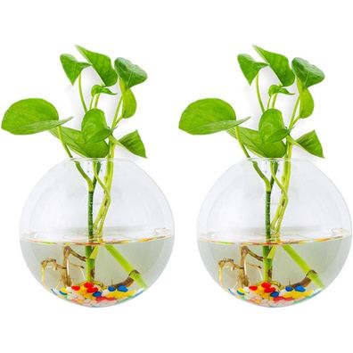 Wandbehang Glas Pflanzgefäße Terrarium 2Stk. Sphärisch Form Vase 2,12 Unzen