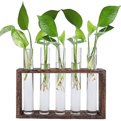 Jucoan Wandmontierbare Reagenzglas Vase Hydrokultur Pflanzen Terrarium Set