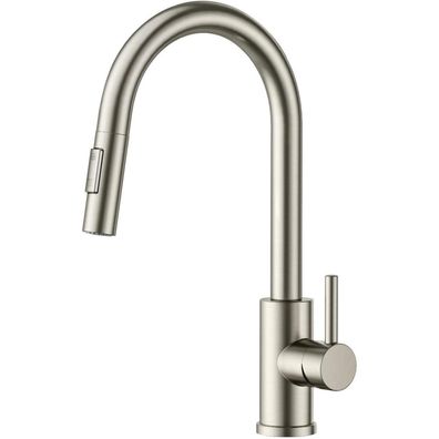 Forious Wasserhahn Küche mit Herausziehbarer Brause Edelstahl