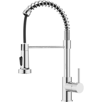 Forious Edelstahl Wasserhahn Küche mit Ausziehbarer Brause 360°Drehbar