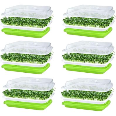 Keimschalen Sprossen Seed Sprouter Tray 32x26cm Deckel große Samen Keimung