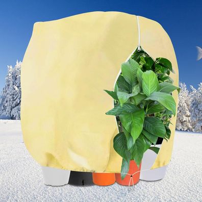 Winterschutz 250x360cm für Pflanzen Kübelpflanzen Frostschutz Palmen-XXL