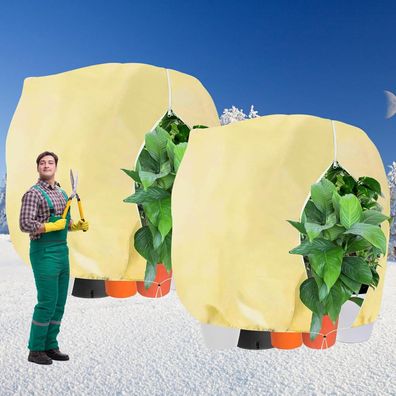 2 PCS Winterschutz Pflanzen 250x360cm Pflanzenschutz Winter überwinterungszelt