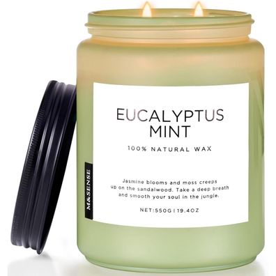 Duftkerze Eukalyptus Minze 550g große Kerze 90h brennend Aromatherapie Spa-Yoga