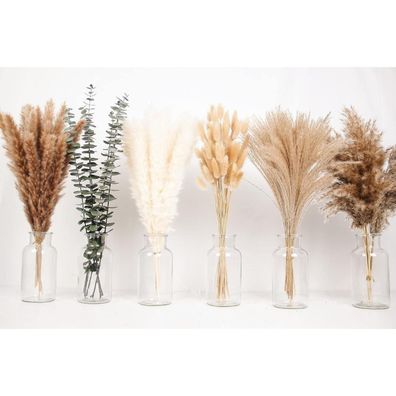 110-teiliges Set Boho Pampasgras getrocknete Blumen Eukalyptus