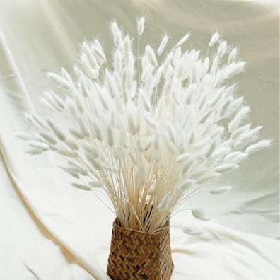 Naunauya 120 PCS Trockenblumen Pampas Weiß Beige Herbst Hochzeit Deko