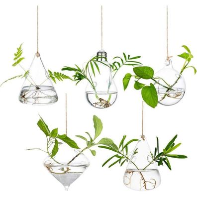 Hängende Glas Pflanzgefäße Wasserpflanzen Terrarium 5er Set