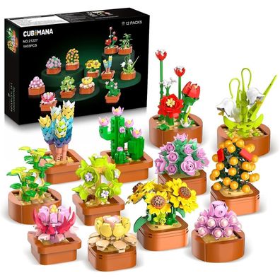 12 Sukkulenten Blumen Mini Bausatz Set 1403 Stück - Botanisches Heimdekor