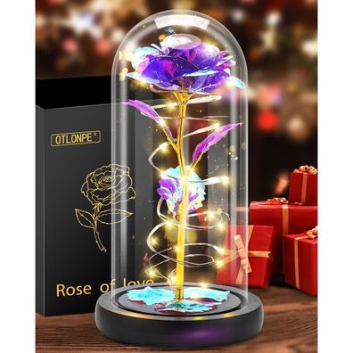 Ewige Rose im Glas mit LED Licht Liebe Geschenk Mutter Freundin Jahrestag
