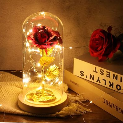 ADAZ Ewige Rose im Glas mit LED-Licht, Geschenke für
