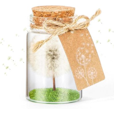 Echte Pusteblume im Glas, Geschenkbox, handgefertigt, Geburtstag, Hochzeit