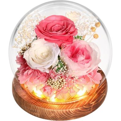 Ewige Rose Glas Infinity Konservierte Echt Rosa Blume LED-Licht