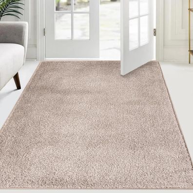 Schmutzfangmatte Innen rutschfeste Sauberlaufmatte 120x180cm Beige