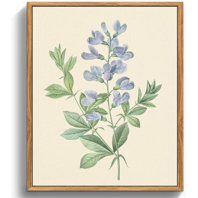 Botanische Leinwandbilder mit Holzrahmen 30x40cm Vintage Blumen Wanddekoration