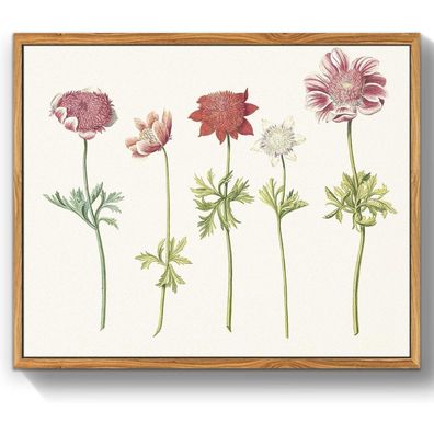 Vintage Botanische Leinwandbilder mit Holzrahmen 30x40 cm Wohnzimmer Badezimmer