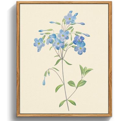 Vintage Botanische Leinwand Bilder mit Rahmen 30x40 cm Blaue Wildblumen