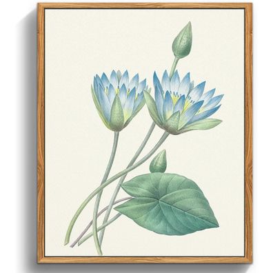 Vintage Botanische Leinwand Bilder mit Holzrahmen 30x40 cm Blauer Lotus