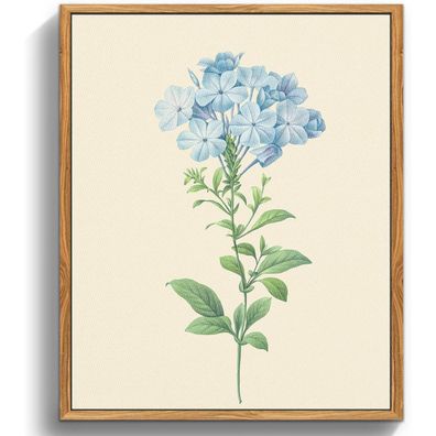 Vintage Botanische Leinwand Druck 30x40 cm mit Holzrahmen - Wandbilder